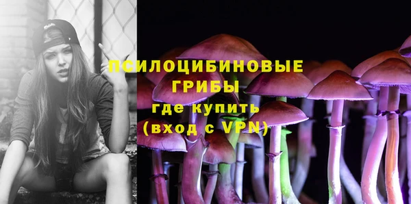 спайс Алексеевка