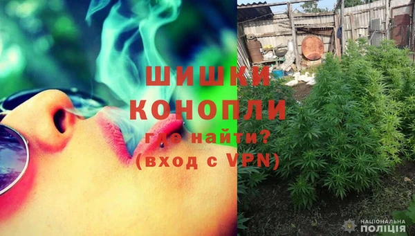 крисы Покачи