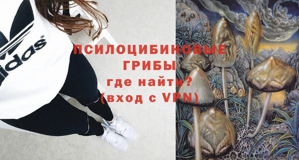 ешки Алзамай