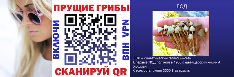 Псилоцибиновые грибы MAGIC MUSHROOMS  Буй 